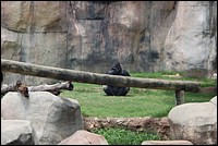DSC_0074.JPG