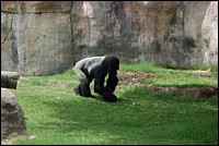 DSC_0075.JPG