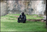 DSC_0076.JPG