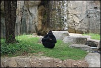 DSC_0077.JPG