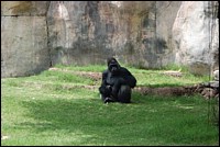 DSC_0078.JPG