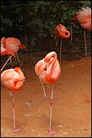 DSC_0079.JPG