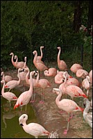 DSC_0084.JPG