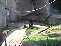SAM_0203.JPG