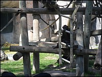 SAM_0204.JPG