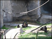 SAM_0205.JPG