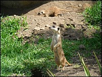 SAM_0209.JPG