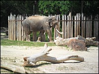 SAM_0210.JPG