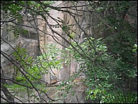 SAM_0224.JPG