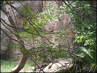 SAM_0225.JPG