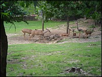 SAM_0228.JPG
