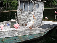 SAM_0244.JPG