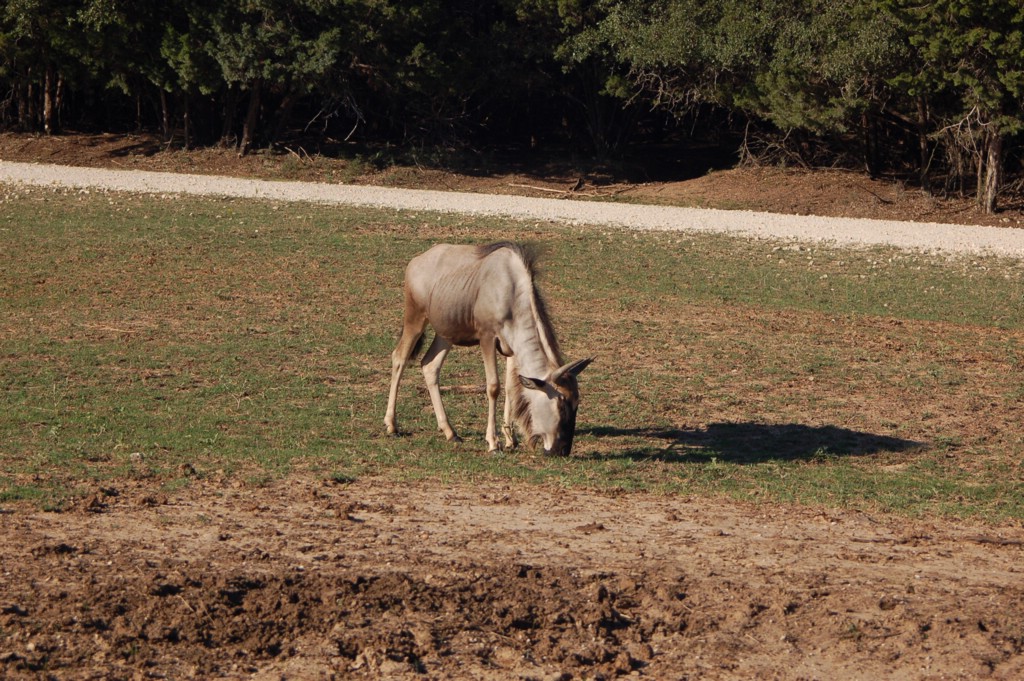 DSC_0014.JPG