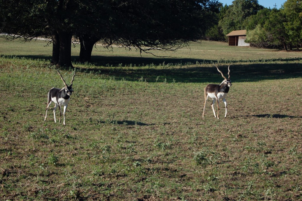 DSC_0032.JPG