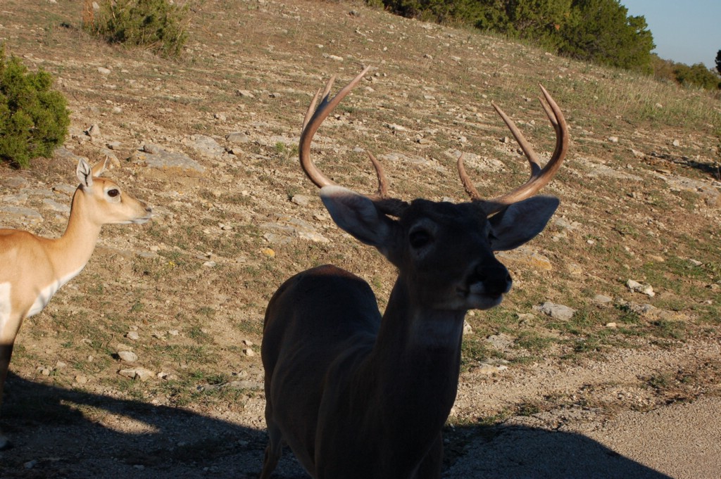 DSC_0037.JPG