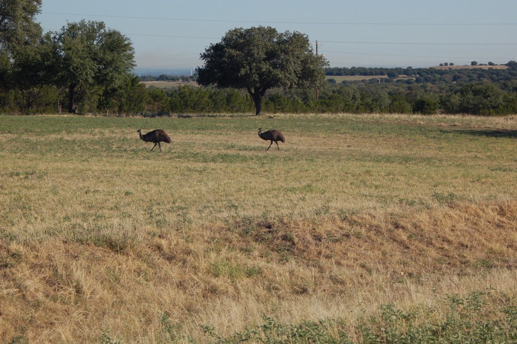 DSC_0044.JPG