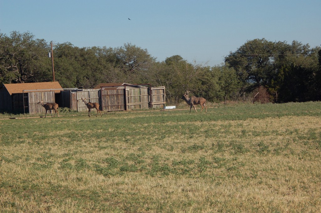 DSC_0045.JPG
