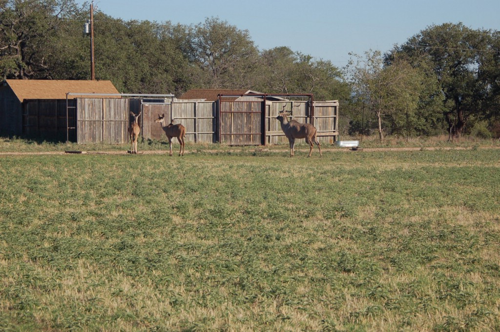 DSC_0046.JPG