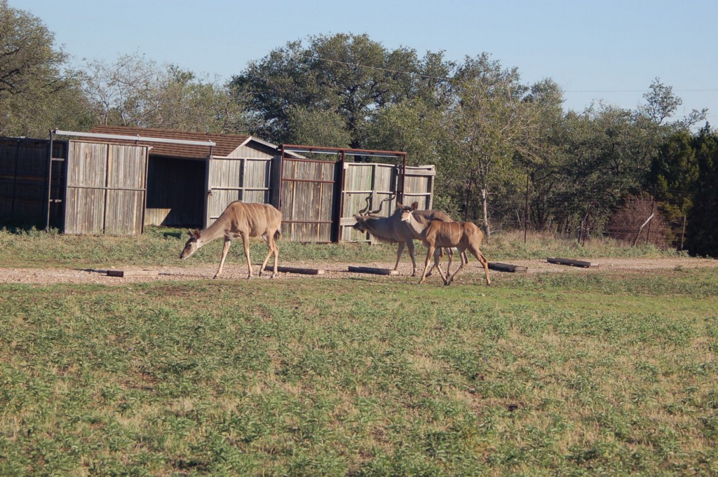 DSC_0047.JPG