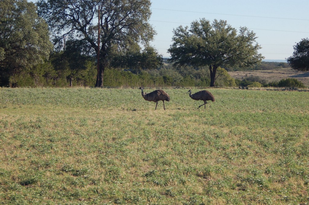 DSC_0048.JPG