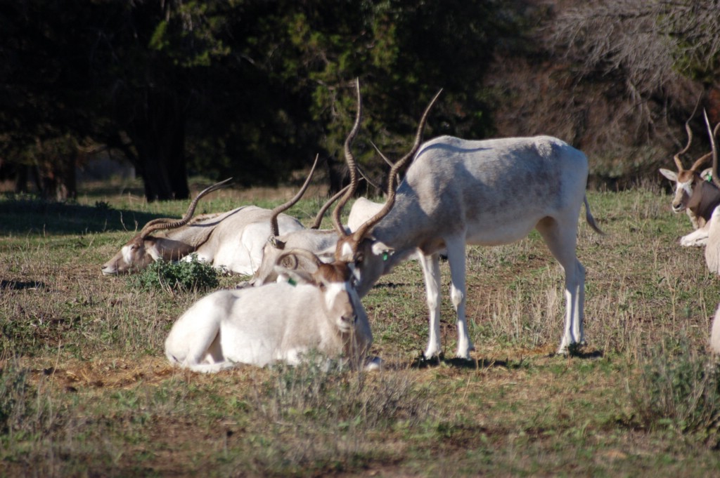 DSC_0056.JPG