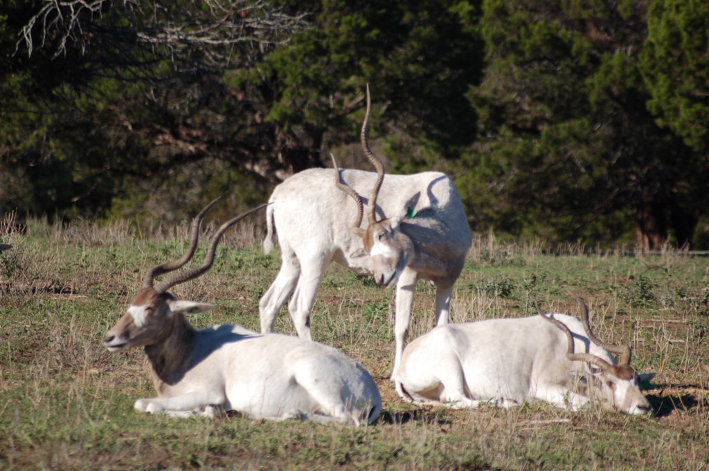 DSC_0057.JPG