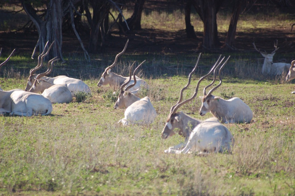 DSC_0069.JPG