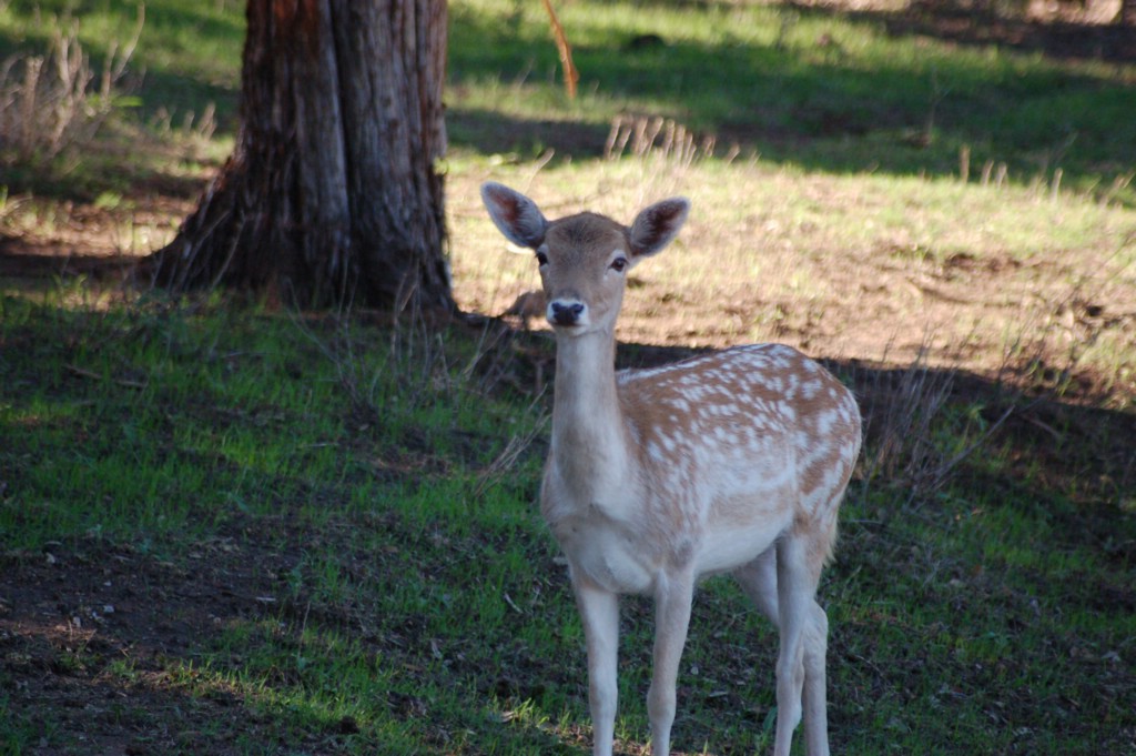 DSC_0072.JPG