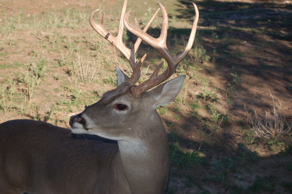 DSC_0076.JPG
