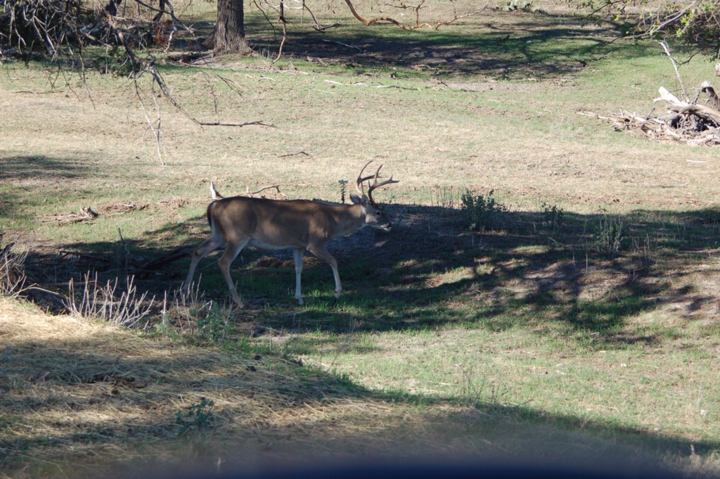 DSC_0077.JPG