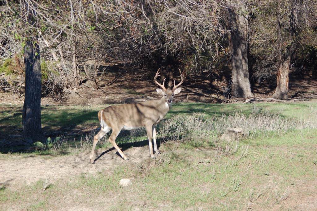 DSC_0080.JPG