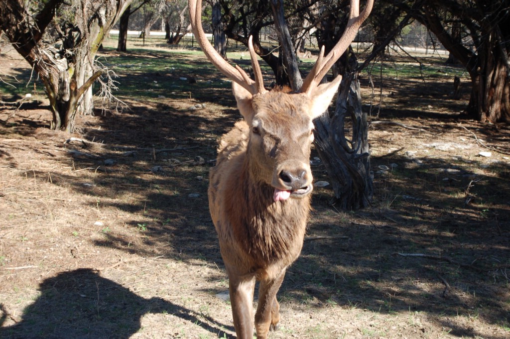 DSC_0101.JPG