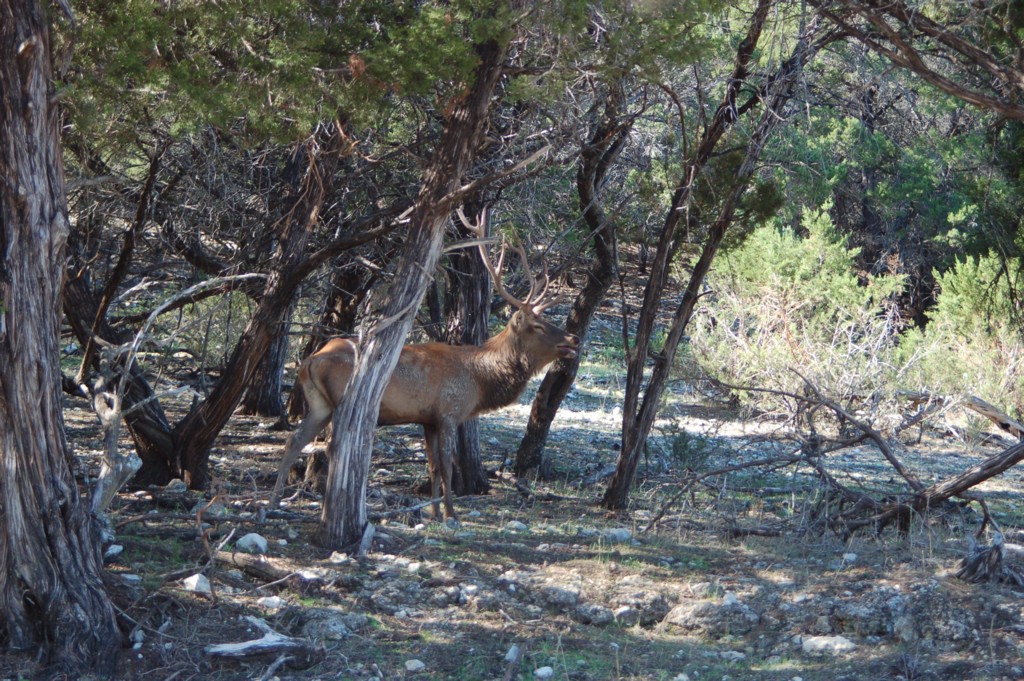 DSC_0106.JPG