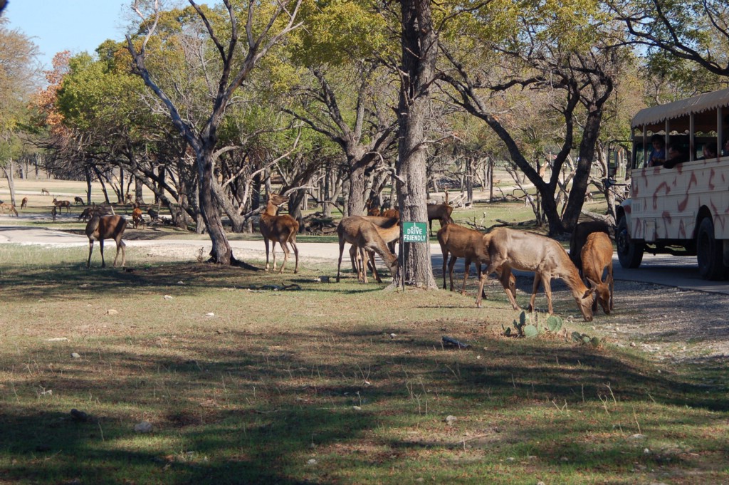 DSC_0107.JPG