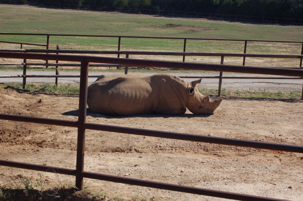 DSC_0142.JPG