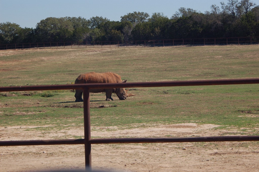 DSC_0143.JPG