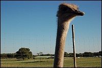 DSC_0007.JPG