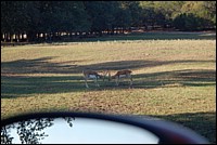 DSC_0009.JPG