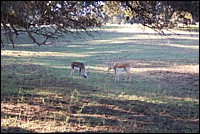 DSC_0010.JPG