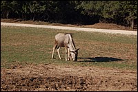 DSC_0014.JPG