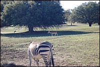 DSC_0020.JPG
