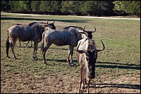 DSC_0021.JPG