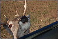 DSC_0027.JPG