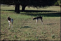DSC_0031.JPG