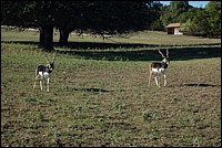 DSC_0032.JPG
