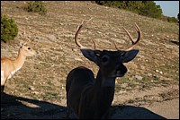 DSC_0037.JPG