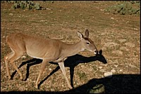 DSC_0039.JPG