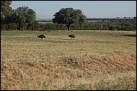 DSC_0044.JPG