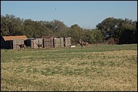 DSC_0045.JPG