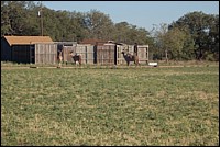 DSC_0046.JPG
